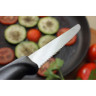 Нож для стейка VICTORINOX 6.7233